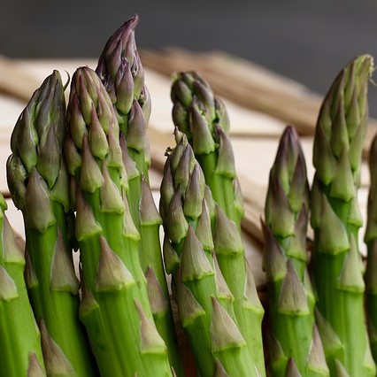 asparagus