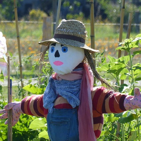 scarecrow